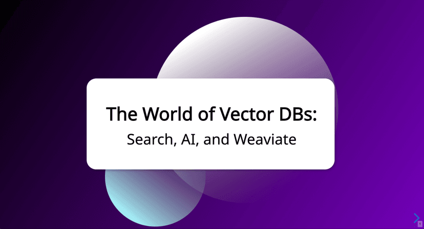 The World of Vector DBs